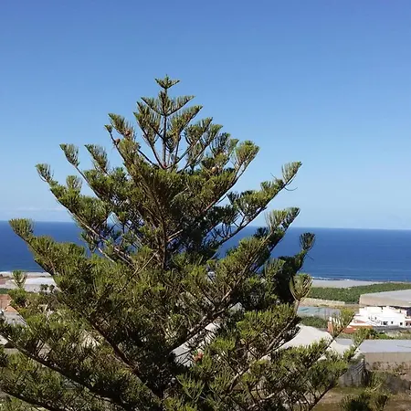 Las Gaviotas * Punta Del Hidalgo